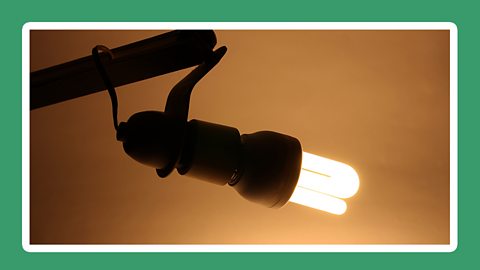 An image of a A lamp with an energy saving lightbulb with a dark green border around the picture.