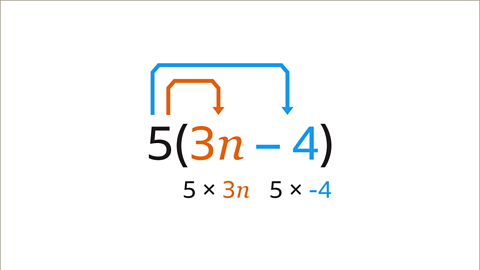 The same equation as the previous image. Two arrows point from the five outside the bracket to the numbers inside the bracket. One points from five to three n – this is highlighted orange. Underneath three n is the equation five multiplied by three n. The second arrow points from five to minus four – this is highlighted blue. Underneath minus four is the equation five multiplied by minus four. 