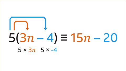 The same equation as the previous image. Five open bracket three n minus four close bracket is identical to fifteen n minus twenty. Fifteen n is highlighted orange and minus twenty is highlighted blue.