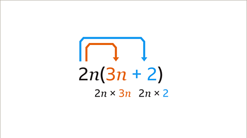 The same equation as the previous image. Two arrows point from the two n outside the bracket to the numbers inside the bracket. One arrow points from two n to three n – three n is highlighted orange. Underneath three n is the equation two n multiplied by three n. The second arrow points from two n to plus two – plus two is highlighted blue. Underneath plus two is the equation two n multiplied by two.