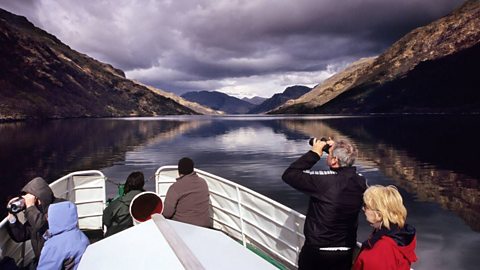 Wildlife watchers in a boat. Two of them have binoculars. 