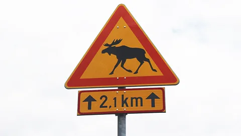 Costing the Earth, Costing the Earth, Wild Highway