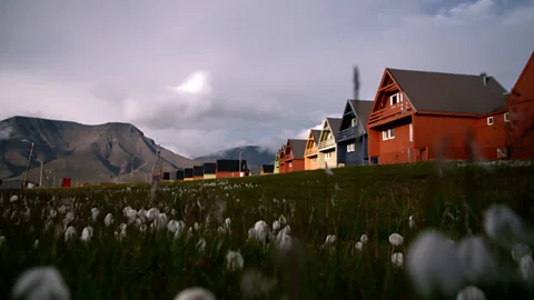 The Documentary Podcast, Svalbard’s climate change fight