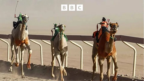 Witness History, Witness History, Inventing robot camel jockeys
