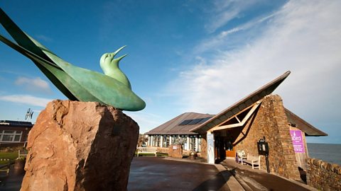 A statue of a seabird outside the Scottish Seabird Centre