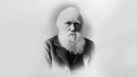 A black and white portrait of Darwin with a long white beard and a black coat. 