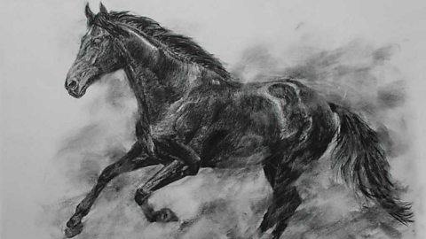 A detailed charcoal drawing of a horse in motion