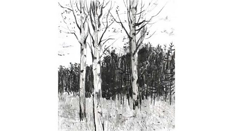 A charcoal sketch of three leafless trees with a woodland in the background