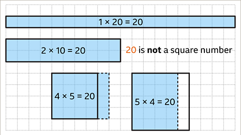 An image of a square grid. The grid has a length of twenty squares and a width of eleven squares. Four shapes have been drawn on the grid. The first shape is a one by twenty rectangle. Written inside the shape: one multiplied by twenty equals twenty.  The second shape is a two by ten rectangle. Written inside the shape: two multiplied by ten equals twenty. The third shape is a four by five rectangle. Written inside the shape: four multiplied by five equals twenty. A four by four square has been drawn on top of this rectangle to show it is not a square. The fourth shape is a five by four rectangle. Written inside the shape: five multiplied by four equals twenty. A five by five square has been drawn on top of this rectangle to show it is not a square. Written right: twenty is not a square number.