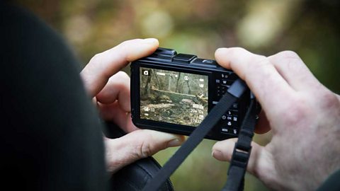 Hands holding a small digital camera. A bridge visible in the camera's screen.