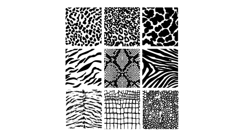 Tiled animal print patterns 