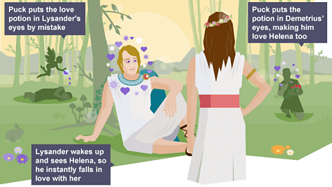 On the left Puck pours purple love potion into a sleeping Lysander's eyes. In the middle of the image Lysander is sat on the ground looking adoringly at Helena, who has one hand on her hip. On the right hand side of the image, Demetrius is shown looking similarly in love with Helena.