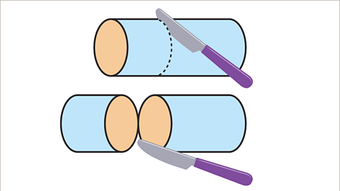 A series of two images. The first image shows a horizontal cylinder being sliced, vertically, by a knife. There is a dashed curve showing the pathway of the intended cut. The second image shows the result of this vertical cut. The cylinder is in two pieces. Each piece is a cylinder with the same cross sectional area. The circular faces of the cylinder are coloured orange and the curved surface is coloured blue.