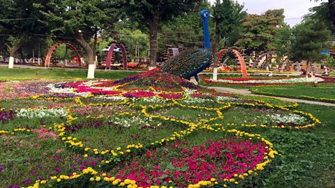 A large, colourful, 3D flower arrangement in the shape of a peacock in a park. The tail of the peacock touches the ground and further flowers spread out on the ground from the tail.