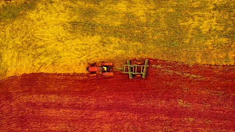 Business Daily, Business Daily, Tackling the global food crisis in 2023