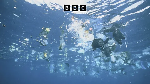 Witness History, Witness History, Plastics in oceans