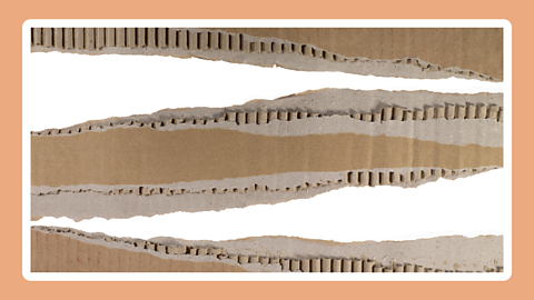 Three torn strips of cardboard exposing the corrugated section behind the outside panel.