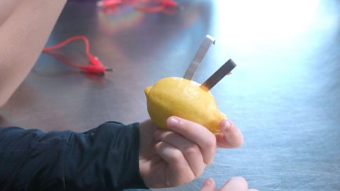 A kid holds a lemon. In it are two rods: one made from copper, the other from zinc.