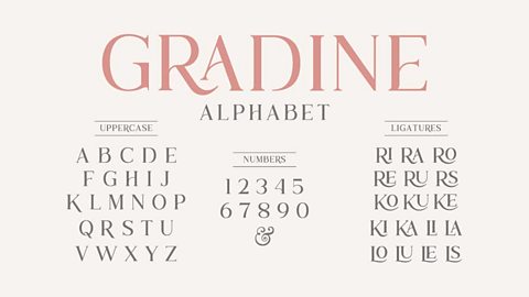 Gradine. Pink writing against white background