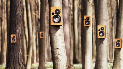 CrowdScience, CrowdScience, How bad is our noise problem?