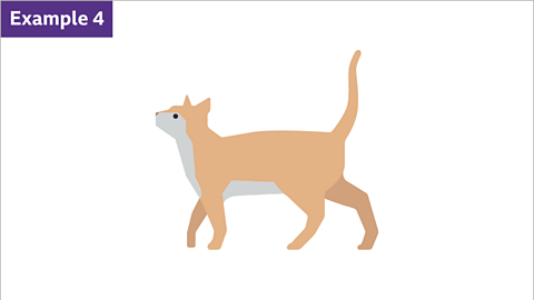 Example four. An image of a cat.