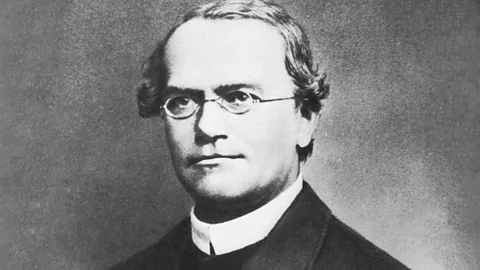 Discovery, Discovery, Bad Blood: The curse of Mendel