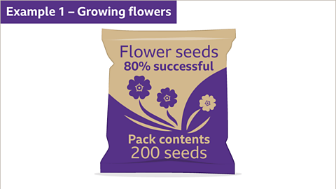 Example one. Growing flowers. An image of a packet of flower seeds. The packet is labelled with the following information: pack contents, two hundred seeds. Flower seeds, eighty percent successful.