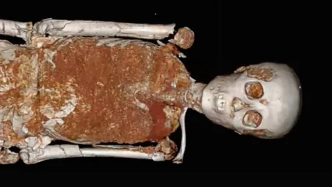 Tutankhamunu2019s final 100 days revealed