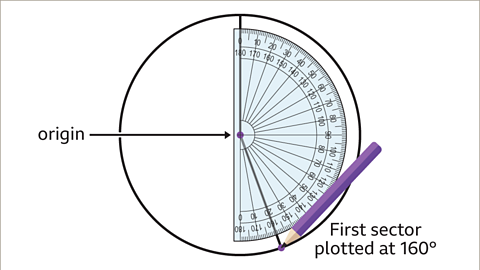 The same image of the circle as the previous. A protractor has been overlaid on the circle such that the origin of the protractor is on the central dot and the vertical line is aligned to the zero on the outer scale of the protractor. Written left: origin, with a left pointing arrow, pointing to the origin of the protractor. A line has been plotted from the centre at an angle of one hundred and sixty degrees. Written right: First sector plotted at one hundred and sixty degrees. A pencil has been drawn at the end of the plotted line.