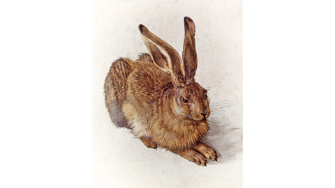 A brown hare painted on a cream background. You can see the texture of the hare's fur.