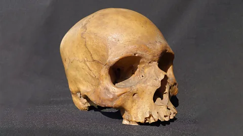 Business Daily, Business Daily, The business of returning treasures