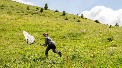 Why Don't Mountains Grow Forever?