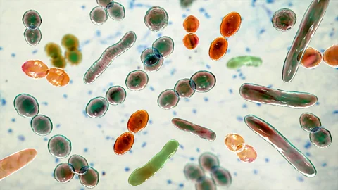 People Fixing the World, The hidden powers of bacteria