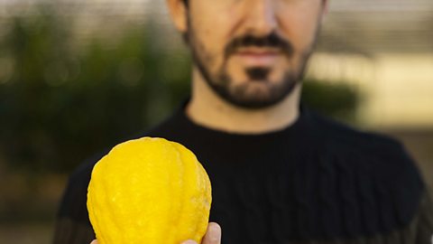 The Italian farmers saving an ancient fruit with solar power