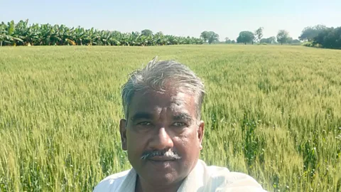 Business Daily, Business Daily, GM mustard in India