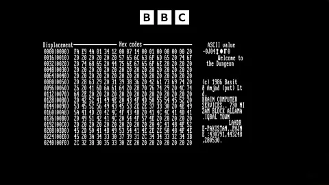 Witness History, Witness History, Brain: The first personal computer virus