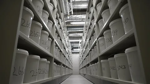 The Danish basement housing 10,000 human brains