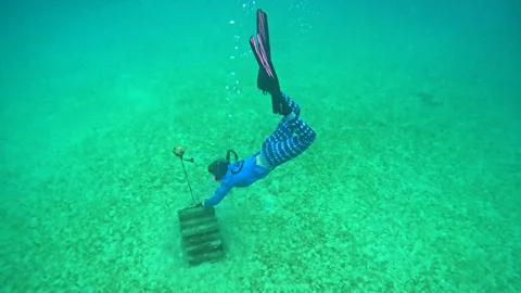 Researcher Annie Innes-Gold deploys a hydrophone used to listen in on ocean sounds (Credit: Dava Watson)