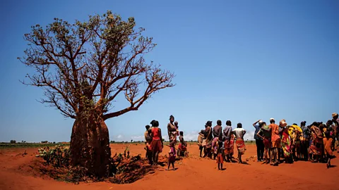 The Documentary Podcast, The famine at the edge of the ocean