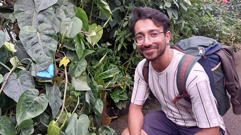 CrowdScience, CrowdScience, How do butterflies and moths fly?