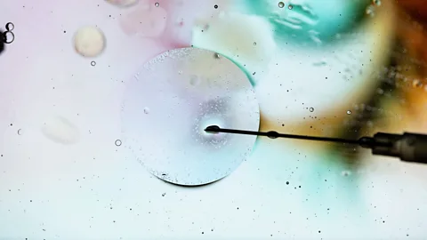 Business Daily, Business Daily, Business and science: How risky is SynBio?
