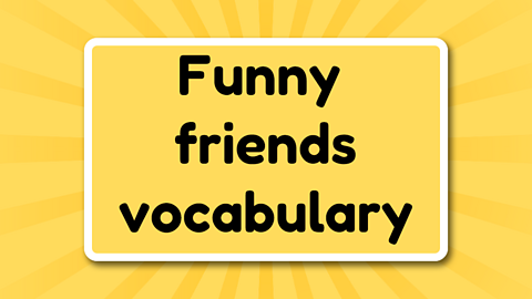 Funny friends vocabulary