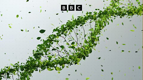 Could scientists create dragons using CRISPR gene editing? - BBC News