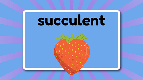 The word succulent above a juicy strawberry.