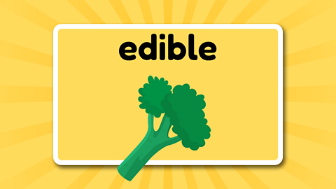 The word edible above a broccoli.