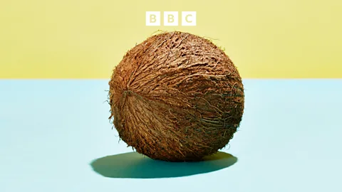 People Fixing the World, Coconuts fixing the world