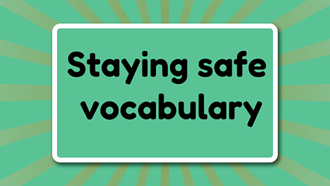 Staying safe vocabulary