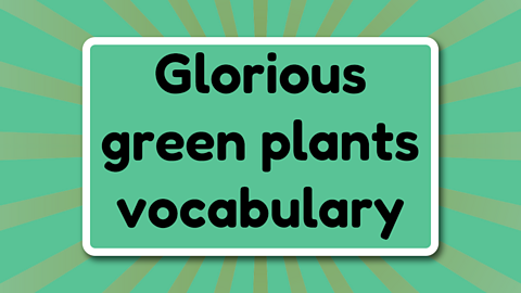 Glorious green plants vocabulary