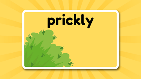 The word prickly above a prickly bush.