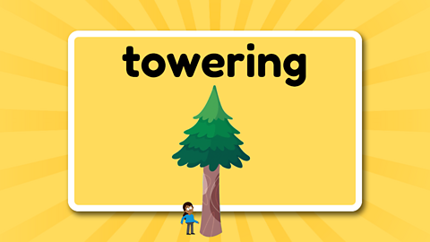 The word towering over a very tall fir tree and a child looking up at the tree.